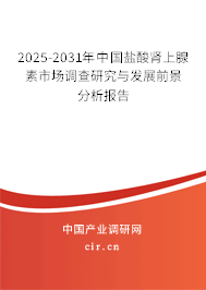 2025-2031年中國鹽酸腎上腺素市場調查研究與發展前景分析報告
