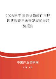 2025年中國云計算軟件市場現狀調查與未來發展前景趨勢報告