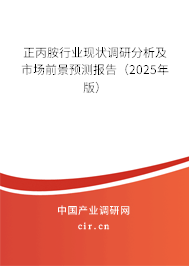 正丙胺行業現狀調研分析及市場前景預測報告（2025年版）