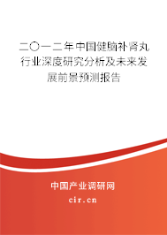 二〇一二年中國健腦補腎丸行業深度研究分析及未來發展前景預測報告