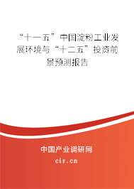 “十一五”中國淀粉工業發展環境與“十二五”投資前景預測報告
