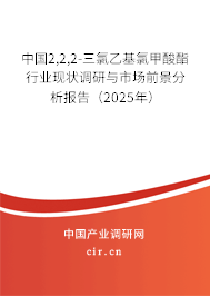 中國2,2,2-三氯乙基氯甲酸酯行業現狀調研與市場前景分析報告（2025年）