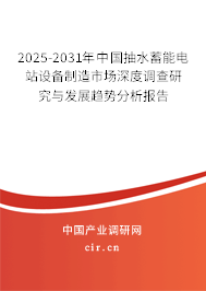 2025-2031年中國抽水蓄能電站設備制造市場深度調查研究與發展趨勢分析報告