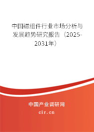 中國磁組件行業市場分析與發展趨勢研究報告（2025-2031年）