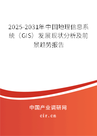 2025-2031年中國地理信息系統（GIS）發展現狀分析及前景趨勢報告