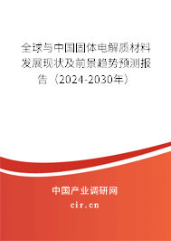 全球與中國固體電解質材料發展現狀及前景趨勢預測報告（2024-2030年）