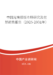 中國(guó)光掩膜版市場(chǎng)研究及前景趨勢(shì)報(bào)告（2025-2031年）