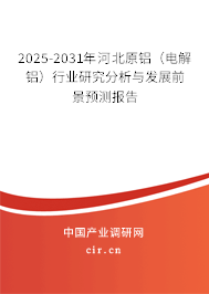 2025-2031年河北原鋁（電解鋁）行業研究分析與發展前景預測報告