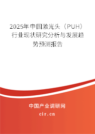 2025年中國激光頭（PUH）行業(yè)現(xiàn)狀研究分析與發(fā)展趨勢預測報告