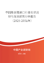 中國集裝箱港口行業(yè)現(xiàn)狀調(diào)研與發(fā)展趨勢(shì)分析報(bào)告（2025-2031年）