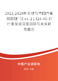 2022-2028年全球與中國六氟磷酸鋰（Cas 21324-40-3）行業發展深度調研與未來趨勢報告