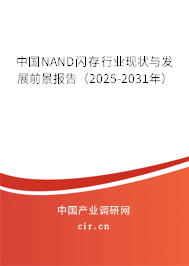 中國NAND閃存行業現狀與發展前景報告（2024-2030年）