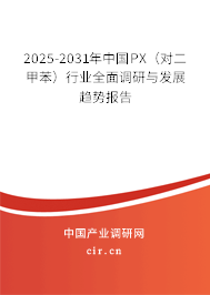 2025-2031年中國PX（對二甲苯）行業(yè)全面調研與發(fā)展趨勢報告