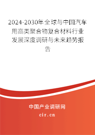 2024-2030年全球與中國汽車用高類聚合物復合材料行業發展深度調研與未來趨勢報告