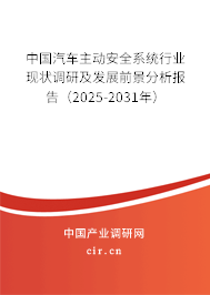 中國汽車主動安全系統行業現狀調研及發展前景分析報告（2025-2031年）