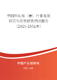 中國熱軋板（卷）行業(yè)發(fā)展研究與前景趨勢(shì)預(yù)測報(bào)告（2025-2031年）
