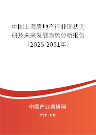 中國上海房地產行業現狀調研及未來發展趨勢分析報告（2025-2031年）