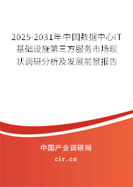 2025-2031年中國數據中心IT基礎設施第三方服務市場現狀調研分析及發展前景報告