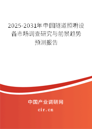 2025-2031年中國隧道照明設備市場調查研究與前景趨勢預測報告