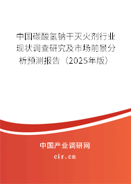 中國(guó)碳酸氫鈉干滅火劑行業(yè)現(xiàn)狀調(diào)查研究及市場(chǎng)前景分析預(yù)測(cè)報(bào)告（2025年版）