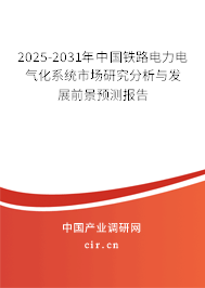 2025-2031年中國鐵路電力電氣化系統市場研究分析與發展前景預測報告