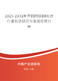 2025-2031年中國物聯網電池行業現狀研究與發展前景分析