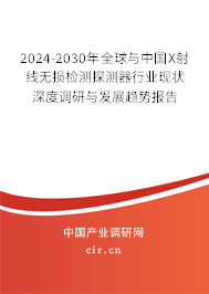 2024-2030年全球與中國X射線無損檢測探測器行業現狀深度調研與發展趨勢報告