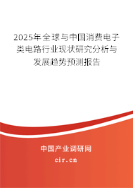2025年全球與中國消費(fèi)電子類電路行業(yè)現(xiàn)狀研究分析與發(fā)展趨勢預(yù)測報告