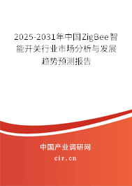 2025-2031年中國ZigBee智能開關行業市場分析與發展趨勢預測報告