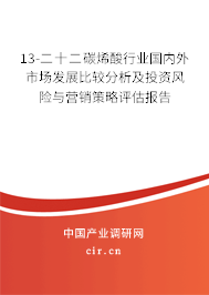 13-二十二碳烯酸行業國內外市場發展比較分析及投資風險與營銷策略評估報告