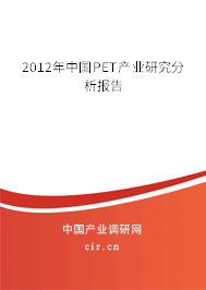 2012年中國PET產業研究分析報告