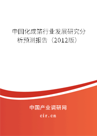 中國化成箔行業發展研究分析預測報告（2012版）