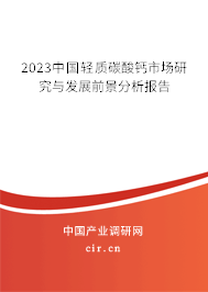 2023中國輕質(zhì)碳酸鈣市場研究與發(fā)展前景分析報告