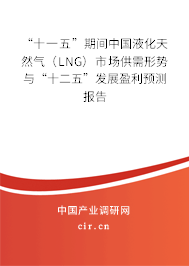 “十一五”期間中國液化天然氣（LNG）市場供需形勢與“十二五”發展盈利預測報告