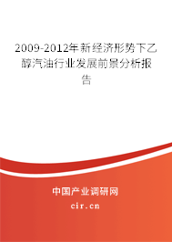 2009-2012年新經濟形勢下乙醇汽油行業發展前景分析報告