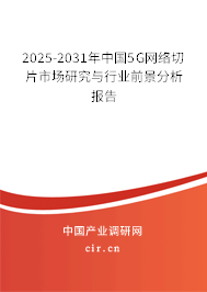 2025-2031年中國5G網絡切片市場研究與行業前景分析報告