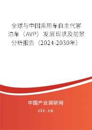 全球與中國乘用車自主代客泊車（AVP）發展現狀及前景分析報告（2024-2030年）