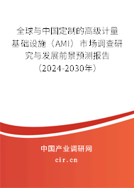 全球與中國定制的高級計量基礎設施（AMI）市場調查研究與發展前景預測報告（2024-2030年）