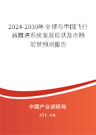 2024-2030年全球與中國飛行器推進系統(tǒng)發(fā)展現(xiàn)狀及市場前景預(yù)測報告