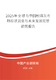 2025年全球與中國粉煤灰市場現狀調查與未來發展前景趨勢報告