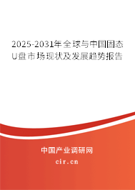 2025-2031年全球與中國固態U盤市場現狀及發展趨勢報告