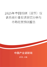 2025年中國控制（調節）儀表系統行業現狀研究分析與市場前景預測報告