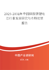 2025-2031年中國磷酸鐵鋰電芯行業發展研究與市場前景報告
