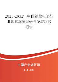 2025-2031年中國鈉鹽電池行業現狀深度調研與發展趨勢報告