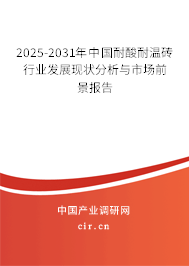 2025-2031年中國耐酸耐溫磚行業發展現狀分析與市場前景報告
