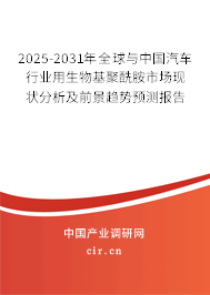 2025-2031年全球與中國汽車行業(yè)用生物基聚酰胺市場現(xiàn)狀分析及前景趨勢預測報告