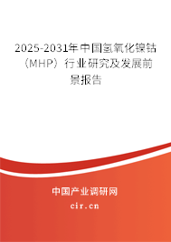 2025-2031年中國氫氧化鎳鈷（MHP）行業研究及發展前景報告