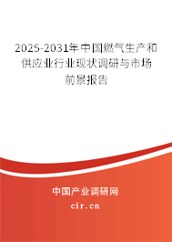2025-2031年中國燃氣生產和供應業行業現狀調研與市場前景報告