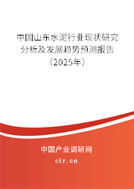 中國山東水泥行業現狀研究分析及發展趨勢預測報告（2025年）