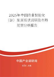 2025年中國商業智能化（BI）發展現狀調研及市場前景分析報告